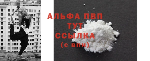 индика Верхний Тагил