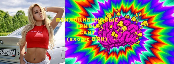 ешки Володарск