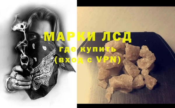 индика Верхний Тагил