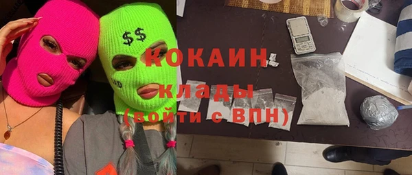 индика Верхний Тагил