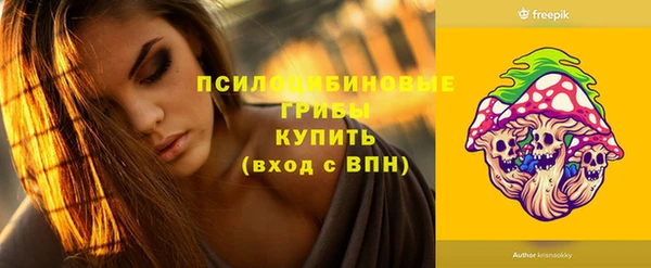 индика Верхний Тагил